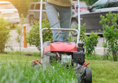 Picture Perfect: Elevating Your Northern Virginia Real Estate Photography With Professional Lawn Mowing Service